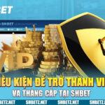 Khám Phá Đặc Quyền VIP SHBET – Trở Thành Thành Viên Thượng Hạng