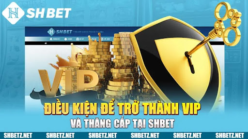 Khám Phá Đặc Quyền VIP SHBET – Trở Thành Thành Viên Thượng Hạng